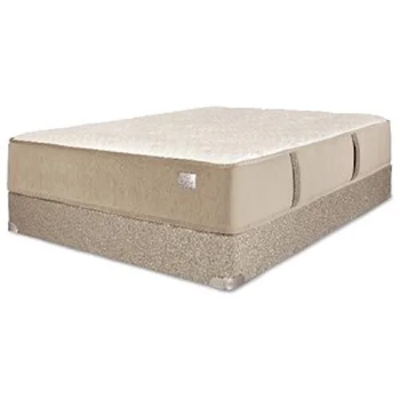 Queen 8" Talalay Latex Mattress and Chattam and Wells Tan Foundation